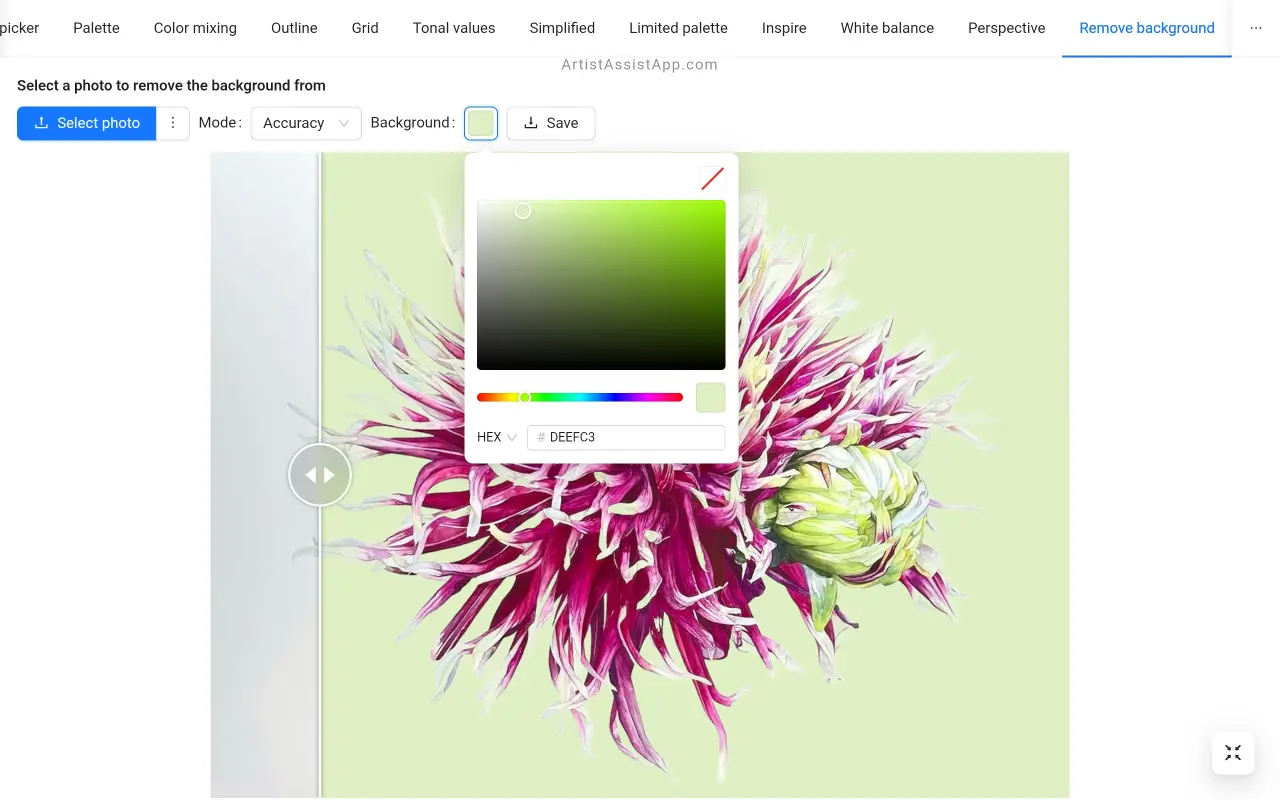 Removing the background from an image in ArtistAssistApp