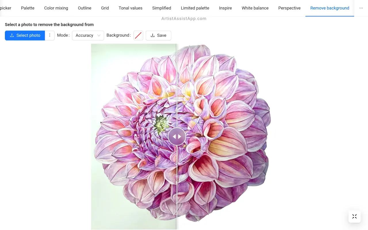 Removing the background from an image in ArtistAssistApp