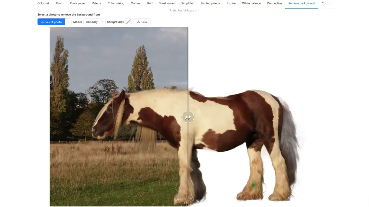 Removing the background from an image in ArtistAssistApp