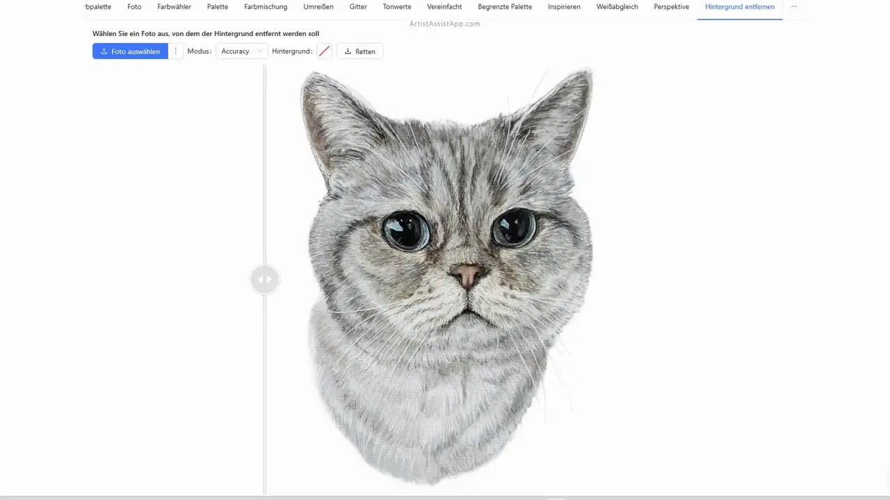 Removing the background from an image in ArtistAssistApp
