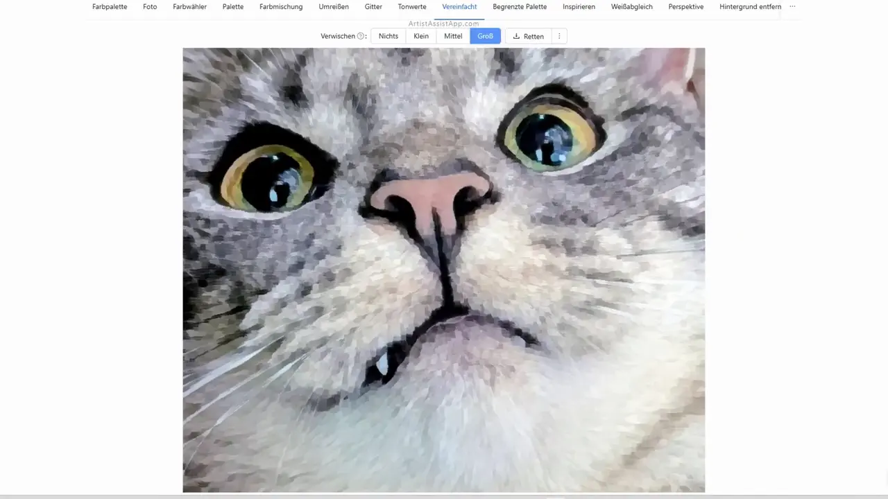 Smoothing out and simplifying a reference photo in ArtistAssistApp