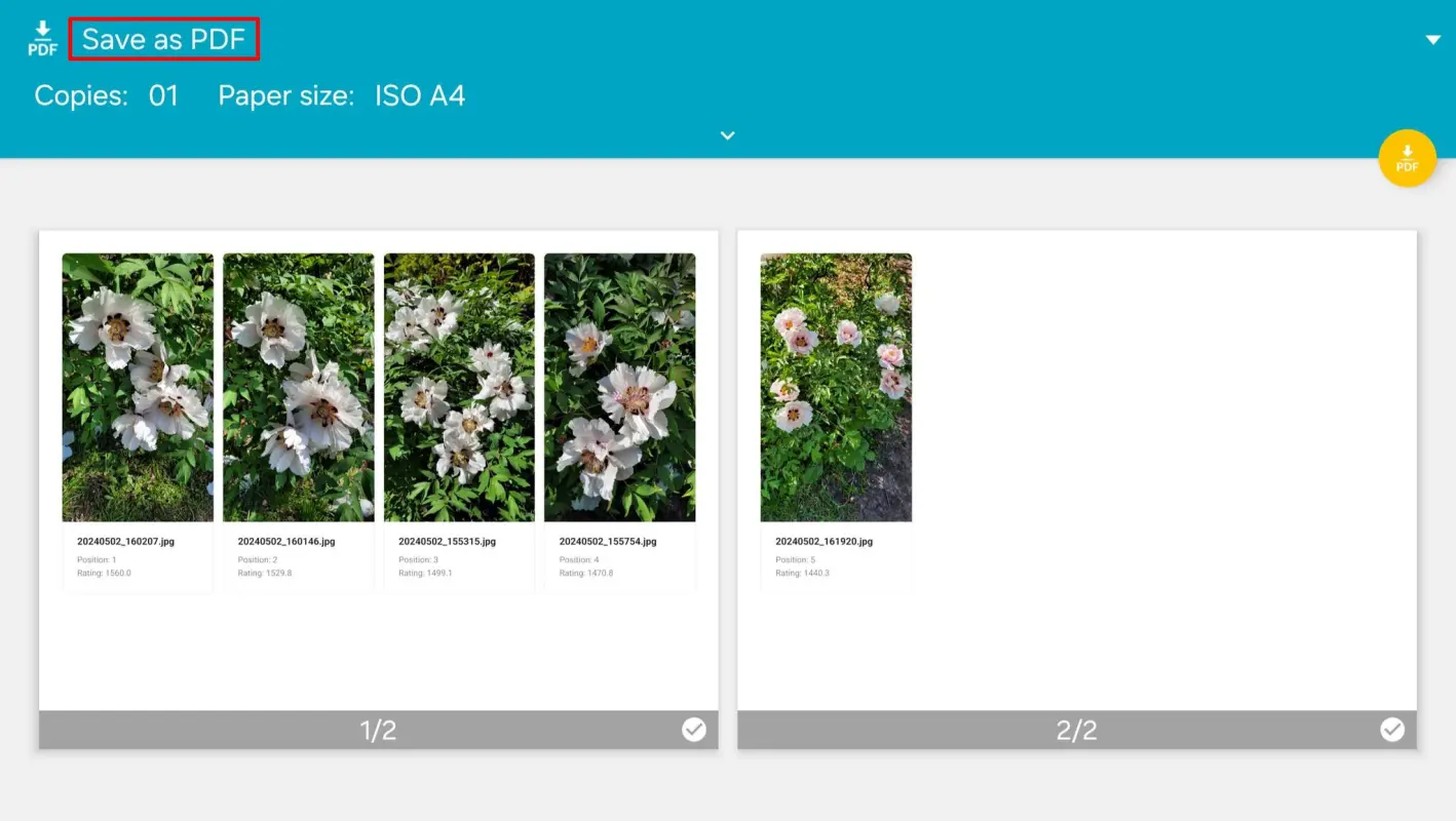 Printing the photo rating based on pairwise comparison results in ArtistAssistApp