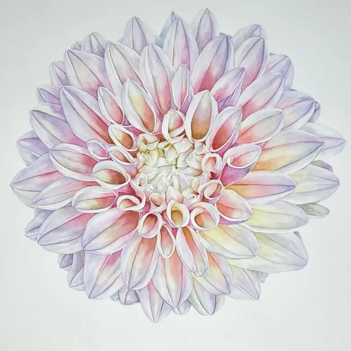 Light colored dahlia painting by Stacy Ann Pugh