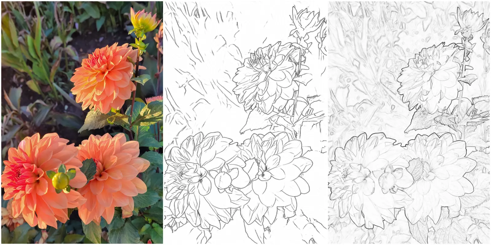 Outline modes comparison in ArtistAssistApp
