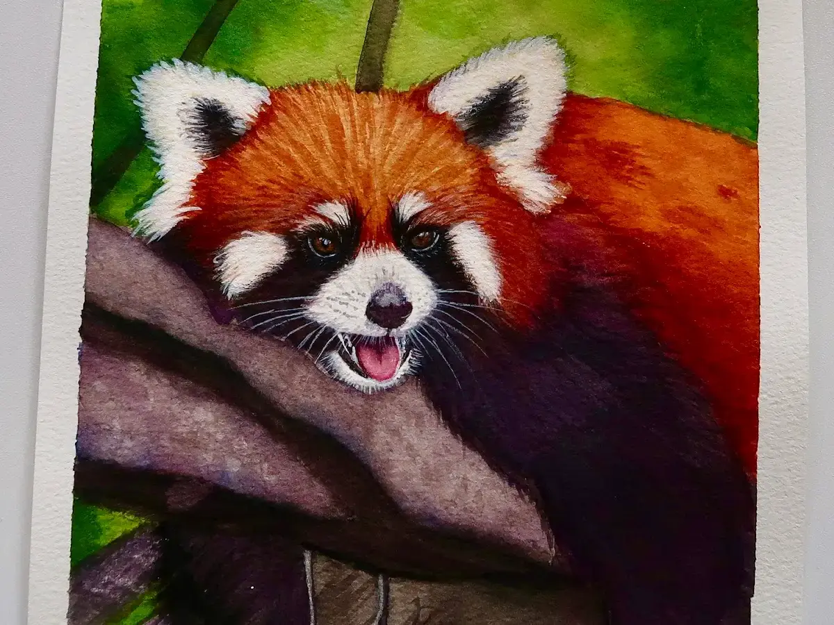 Red panda watercolor painting