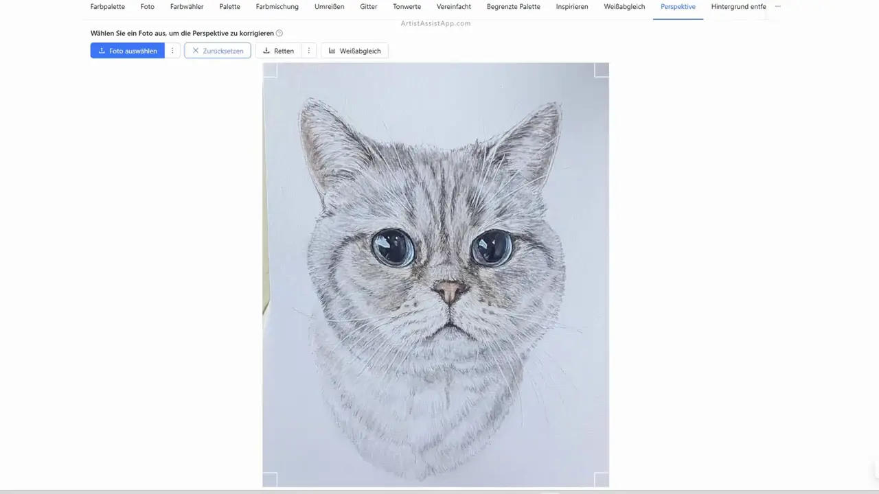 Perspective correction in ArtistAssistApp