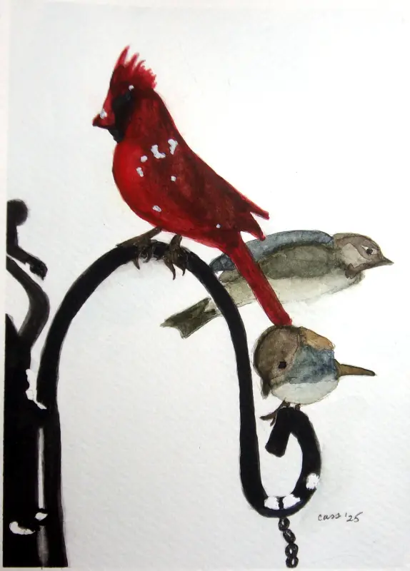 Illustrazione di Cass Glickman