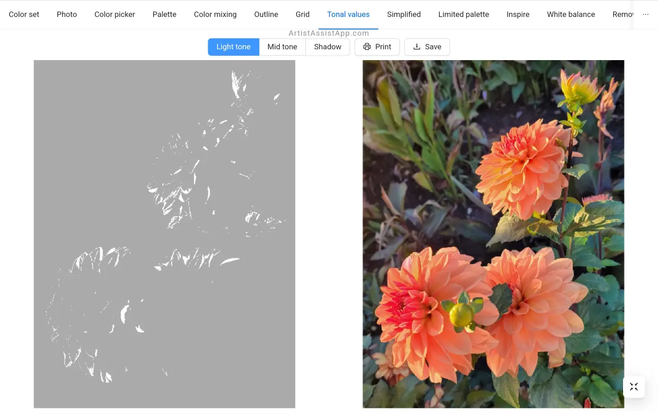 Tonal value study (light tone) in ArtistAssistApp