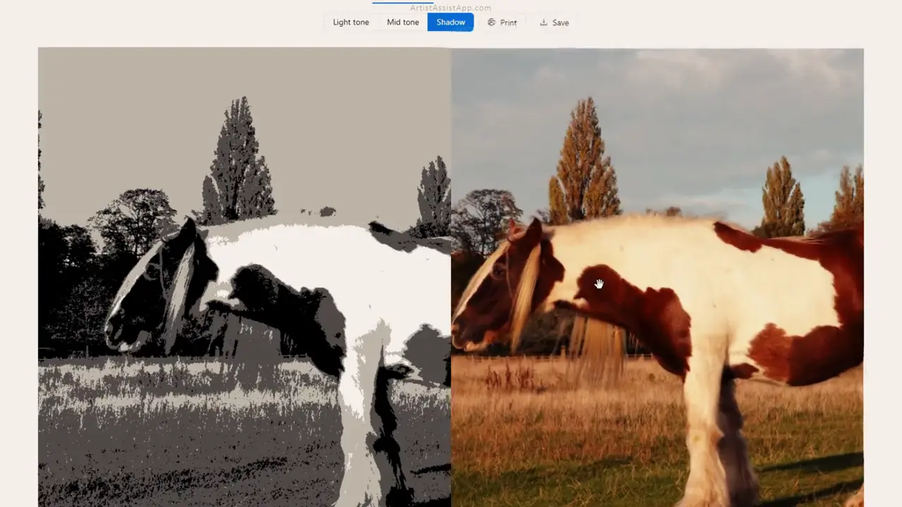 Tonal value study in ArtistAssistApp