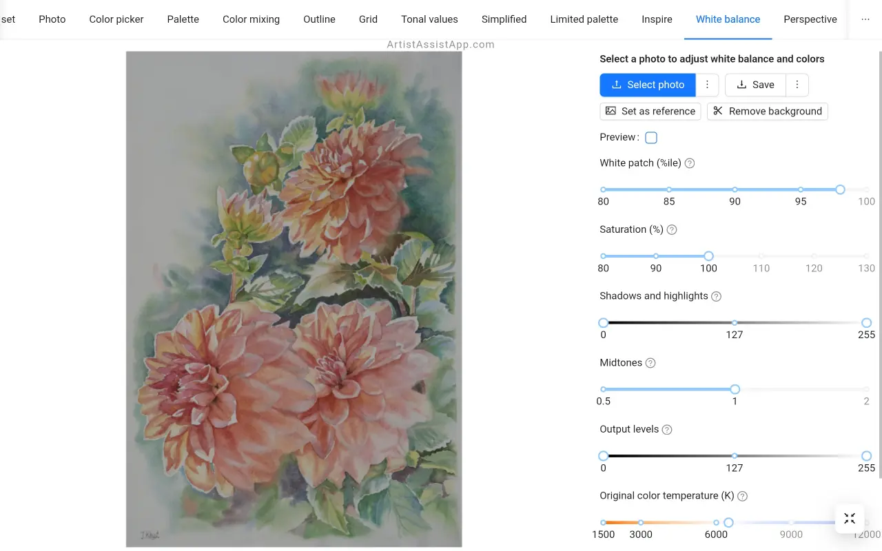 White balance and color correction in ArtistAssistApp
