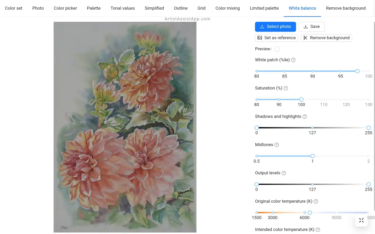 White balance and color adjustment in ArtistAssistApp