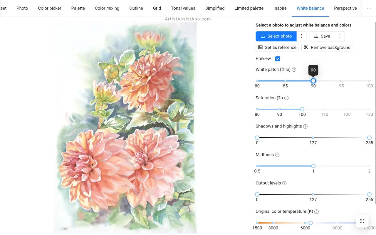 White balance adjustment in ArtistAssistApp