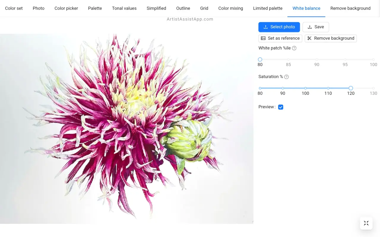 White balance and saturation adjustment in ArtistAssistApp