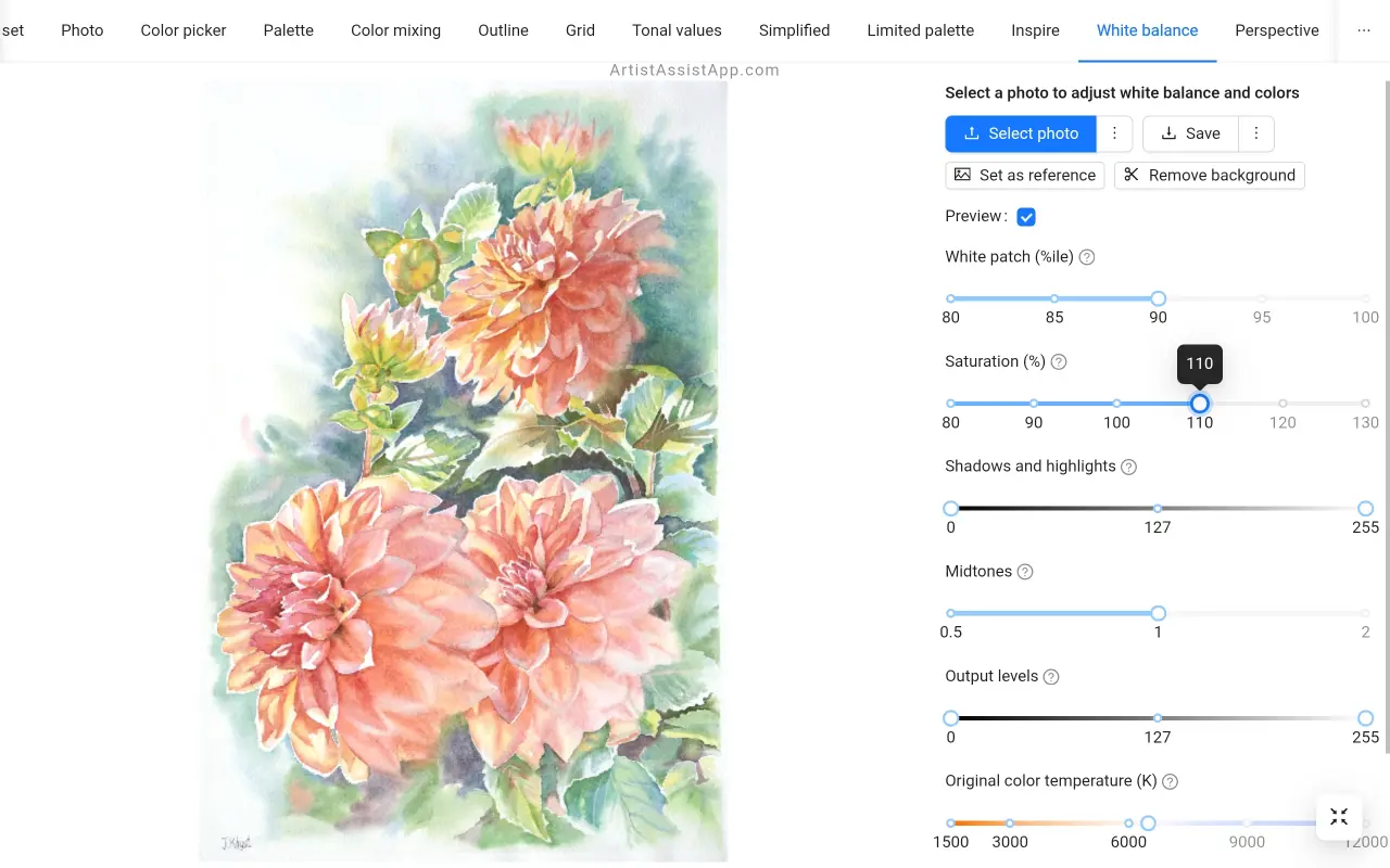 Saturation adjustment in ArtistAssistApp