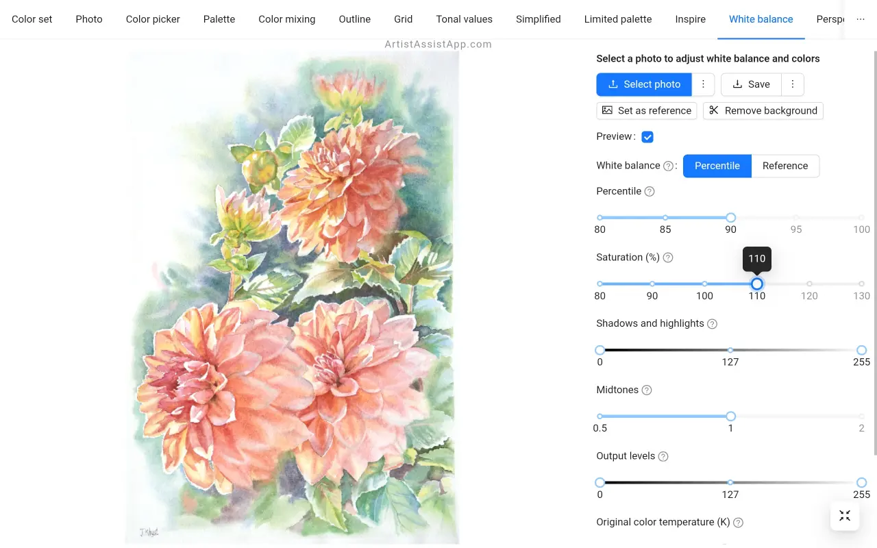Saturation adjustment in ArtistAssistApp