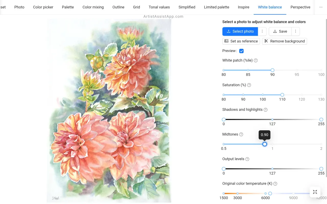 Color levels adjustment in ArtistAssistApp