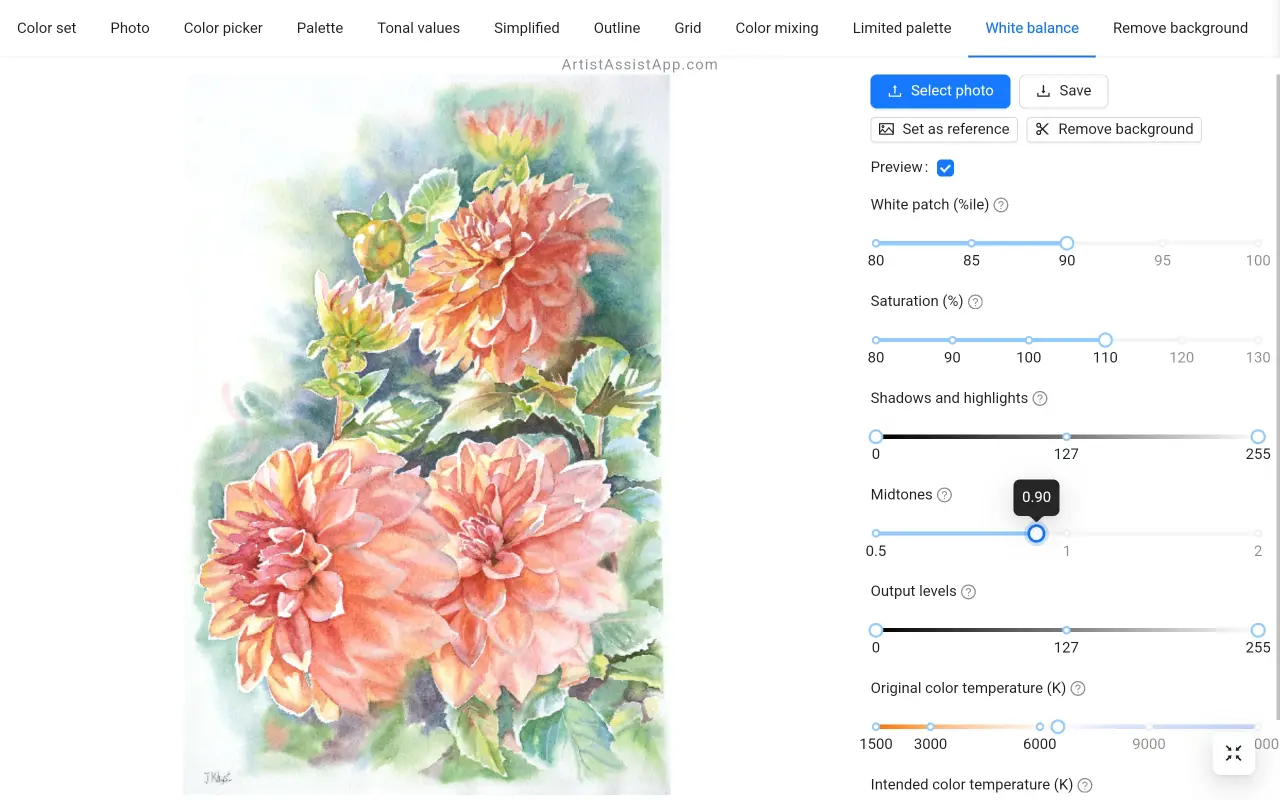 White balance and color adjustment in ArtistAssistApp