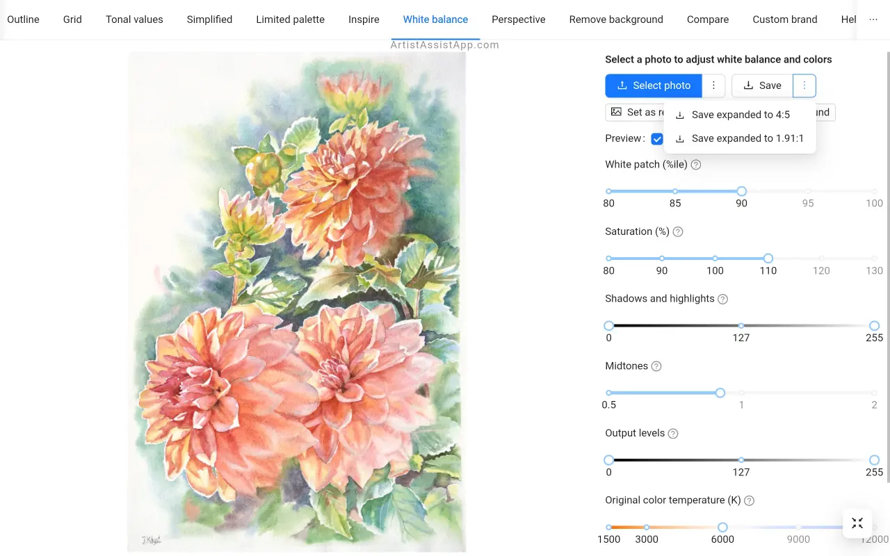 Saving adjusted images in ArtistAssistApp