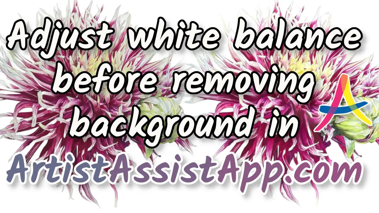 Using White Balance & Background Removal Together in ArtistAssistApp