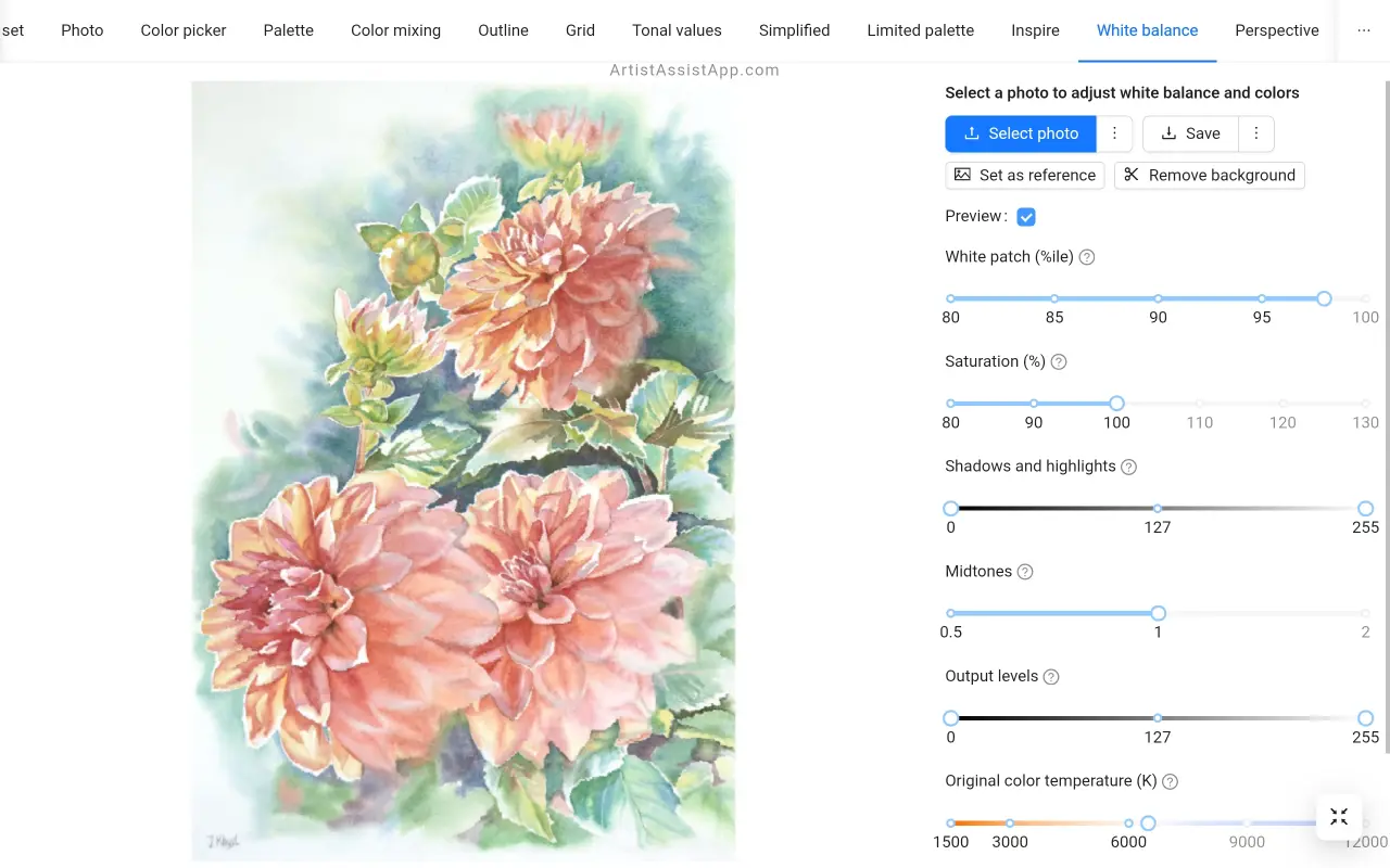 Adjusting the white balance in ArtistAssistApp
