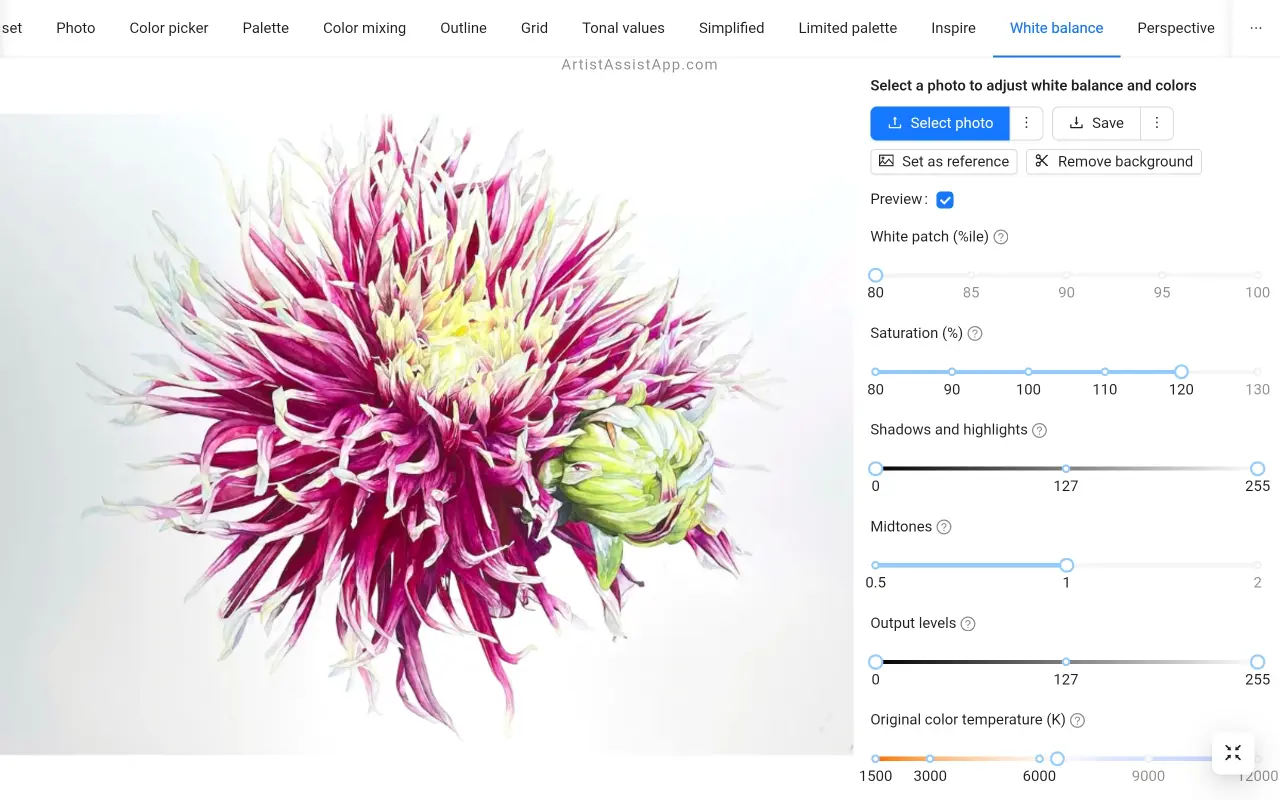 White balance and saturation adjustment in ArtistAssistApp